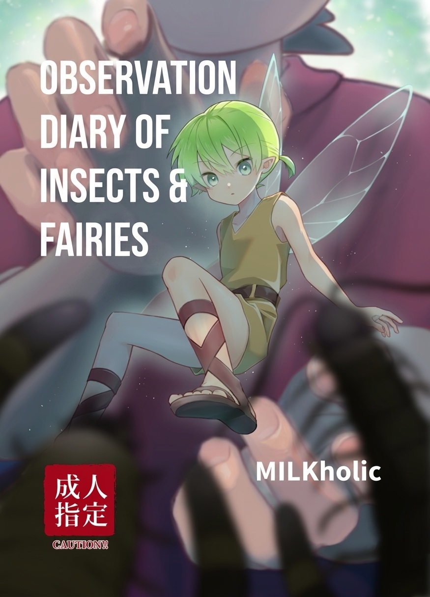Observation Diary of Insects and Fairies page 1 full