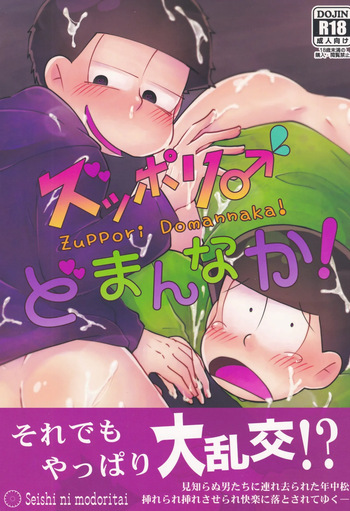 Zuppori ♂ Domannaka! cover