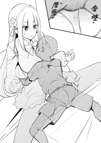 EMT cover