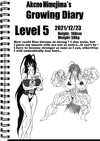 Akeno Himejima cover