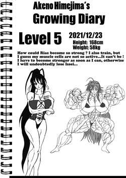 Akeno Himejima