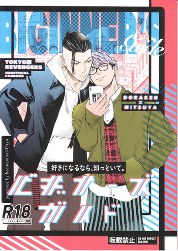 Beginner's Guide cover