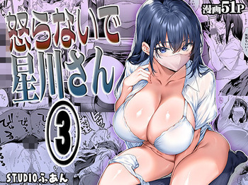 Hey, Hold your Horses, Hoshikawa-san! 3 cover