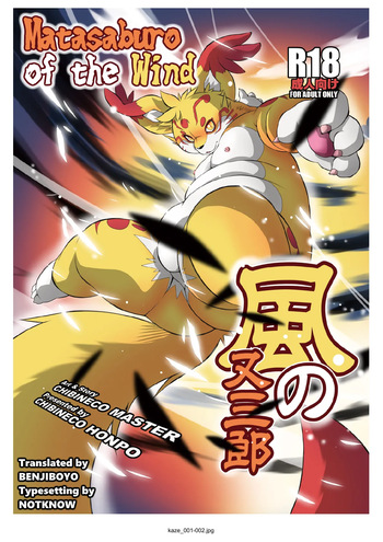 Kaze no Matasaburo | Matasaburo of the Wind cover