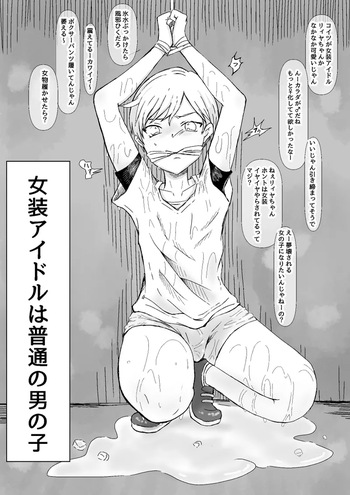 女装アイドルは普通の男の子 cover