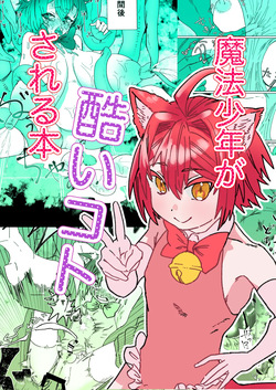 魔法少年が酷いコトされる本