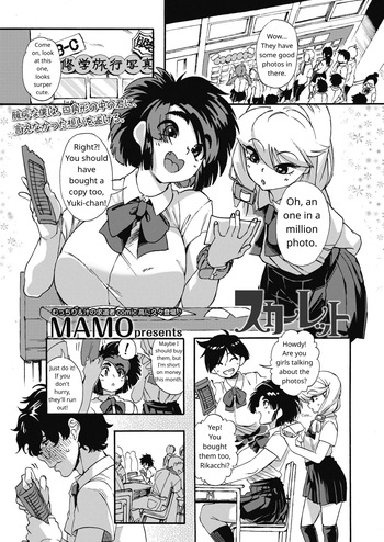 Scarlet cover