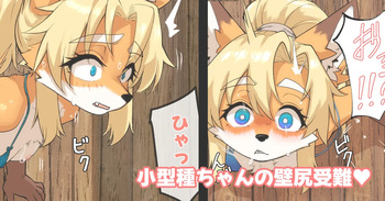 小型種ちゃんの壁尻受難 cover