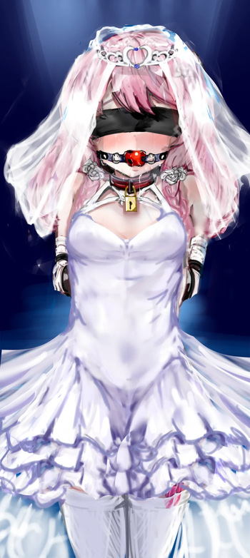 Ui-chan's Bride Introduction cover