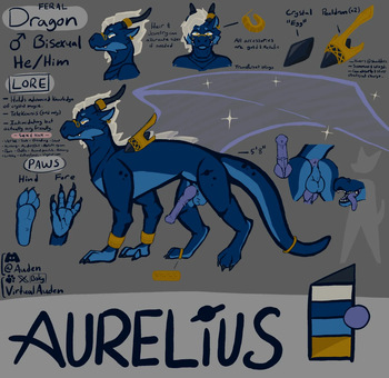 virtualauden cover