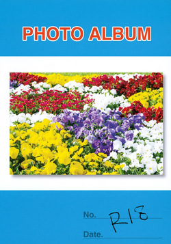 Photo Album