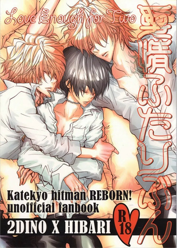 Katekyo Hitman Reborn! dj – Aijou Futaribun cover