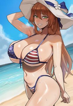 Request Springfield Stars and Stripes NTR