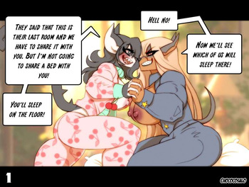 Who Will Take The Bed? cover