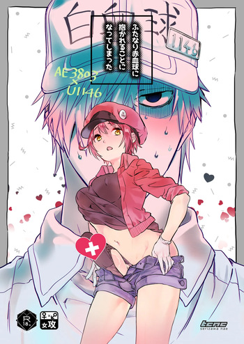 Futanari Sekkekkyuu ni Dakareru Koto ni Natte Shimatta cover