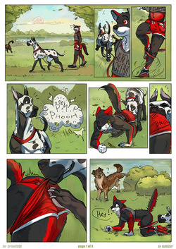 Dog Park
