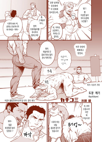 Kachikomi | 도장 깨기 - 디지털판 cover