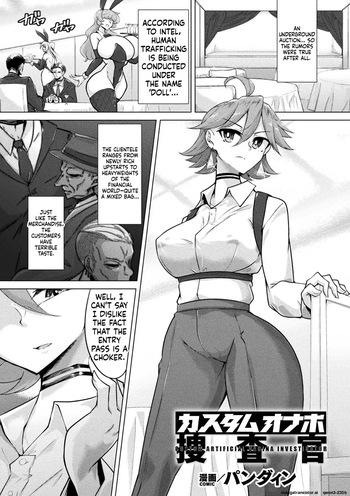 Custom Onahole Investigator - cover