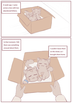 My Submissive Little Kitties - Part 1