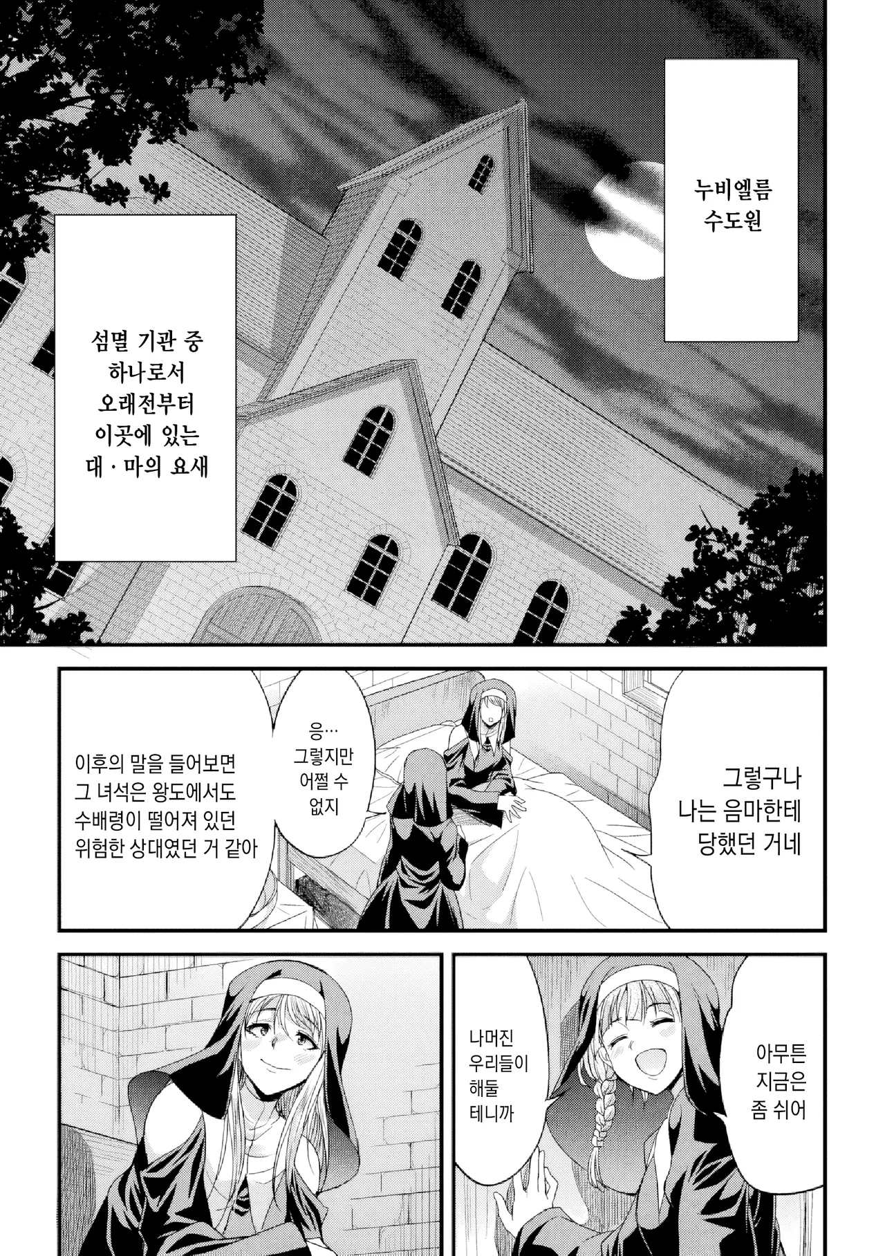 Daseijo ~Futanari Inyoku ni Ochiru Batoru Sister~ | 타락성녀 ~후타나리 음욕에 타락하는 전투 수녀~ page 10 full