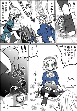 チュチュの事故