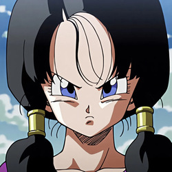 Videl2.0