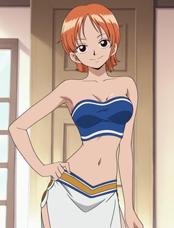 ANIPAI -  Nami  - One Piece