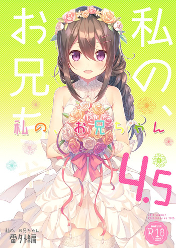 Watashi no, Onii-chan 4.5 -Bangaihen- cover