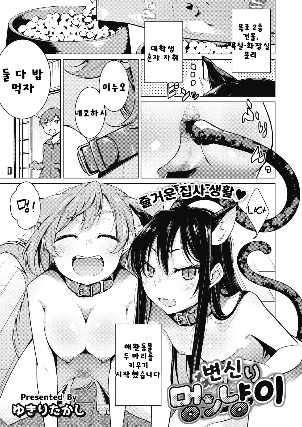 Narikiri Wan Nyan | 변신 멍냥이 page 1 full