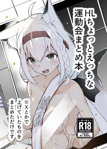 HL Chotto Ecchi na Undoukai Matome Hon | A book summarizing Hololive's slightly erotic atheletics meet cover