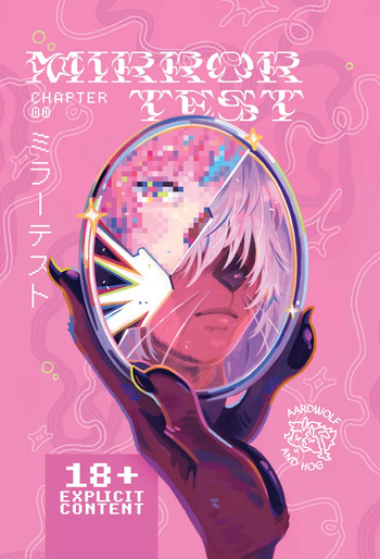 Mirror Test cover