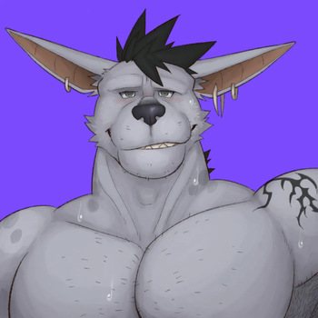 Fleshformomo cover