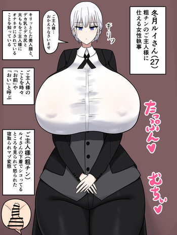 女性執事の冬月ルイさんがホームレスに… cover