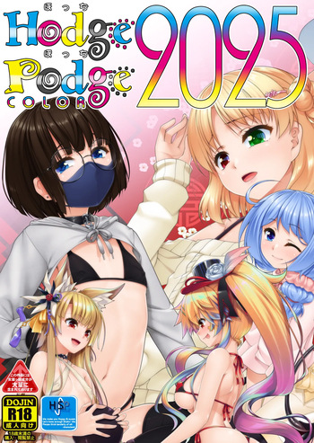 HodgePodgeColor2025 cover