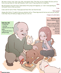 Shelter