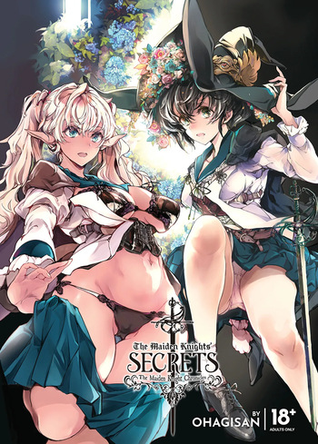Otome Kishi no Himegoto | The Maiden Knights' Secrets cover