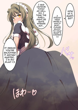 Skirt Steam