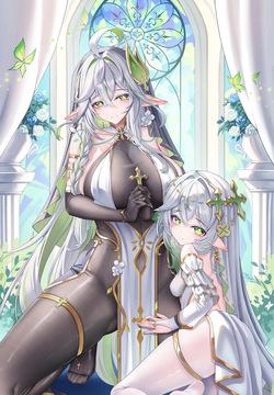 jndfh | 修女草
