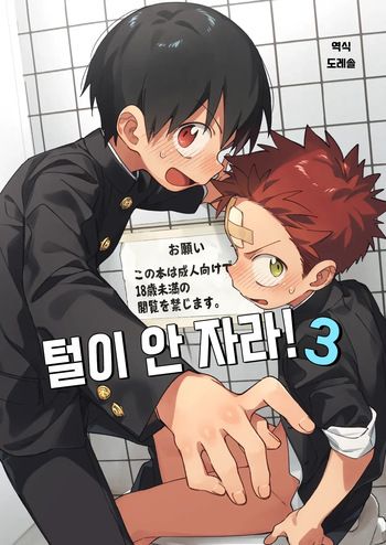 털이 안 자라 3 Ke ga Gaehen! 3 cover