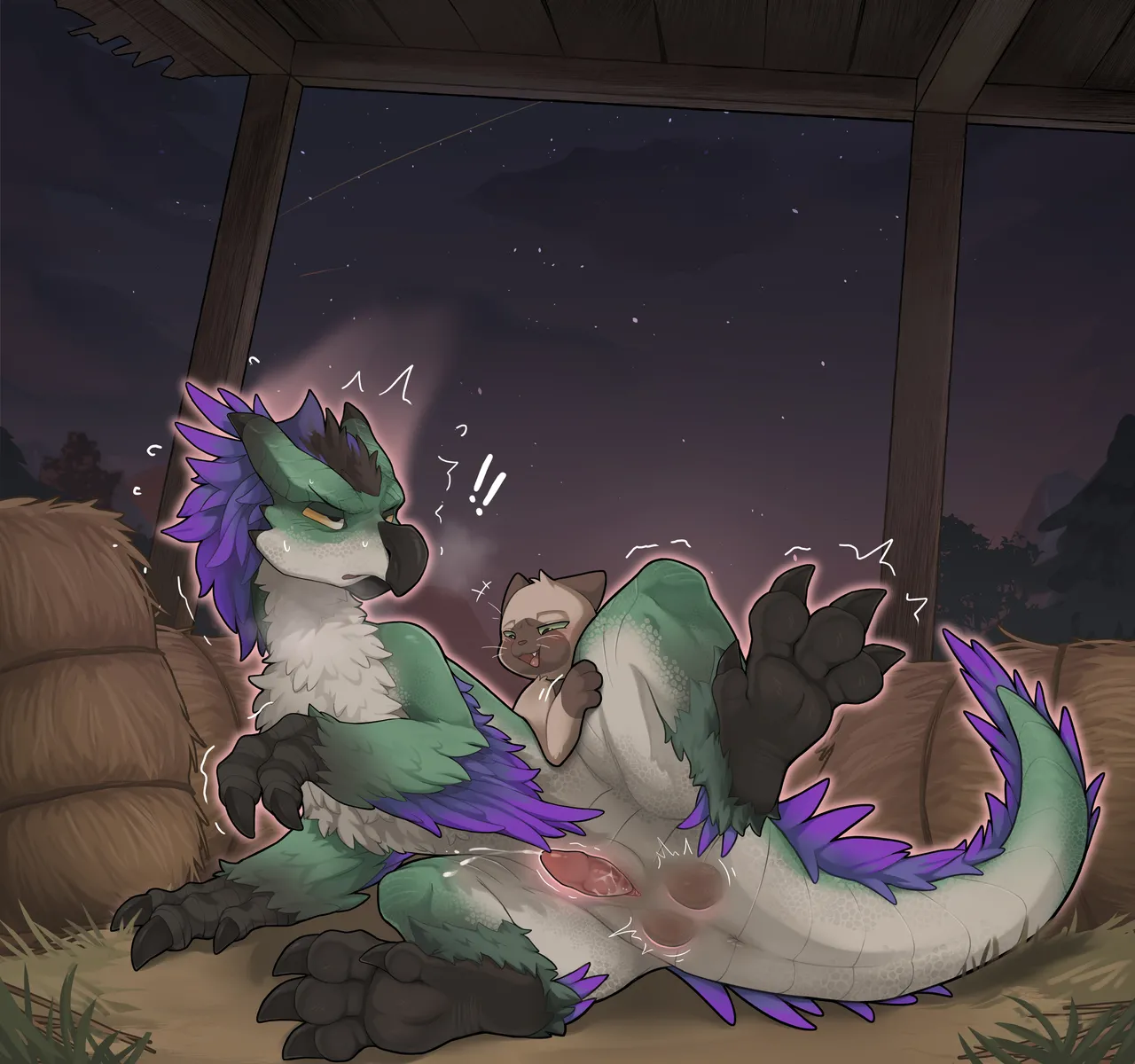 Seikret TF page 5 full