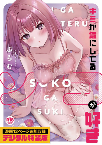 Kimi ga Kinishiteru Soko ga Suki cover