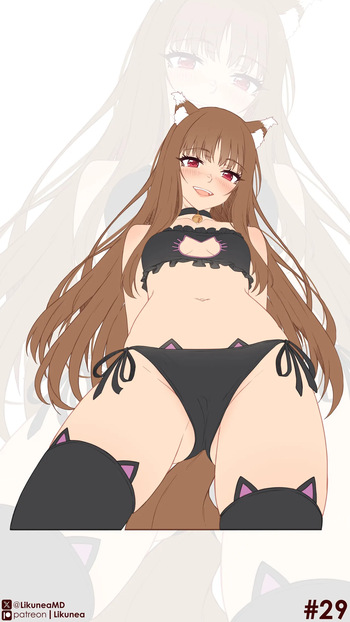 Holo cover