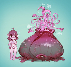 smobro  Updated: 5/29/2026