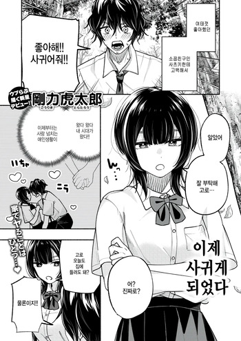 Koibito rashii koto cover