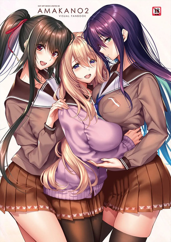 Amakano 2 Visual Fan Book cover
