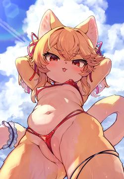 関西けもケット11のお知らせ