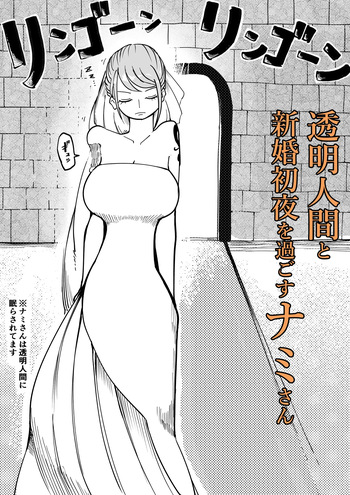 透明人間と新婚初夜を過ごすナミさん cover