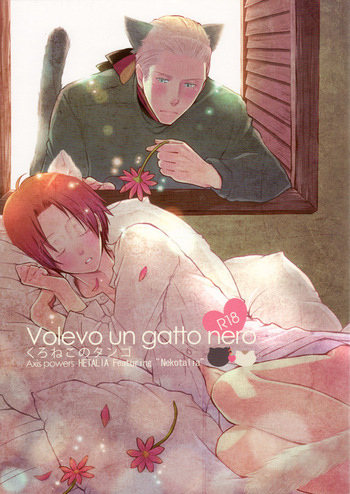 Volevo un gattop nero cover