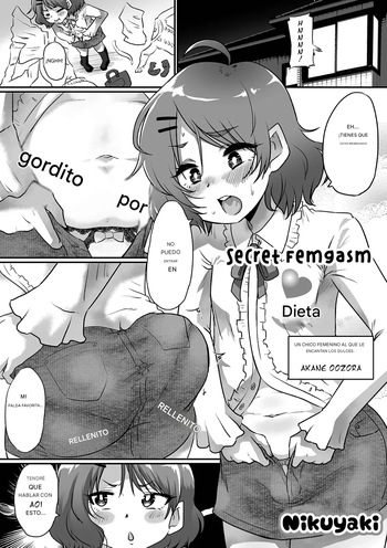 Himitsu no Mesuiki Diet Español cover