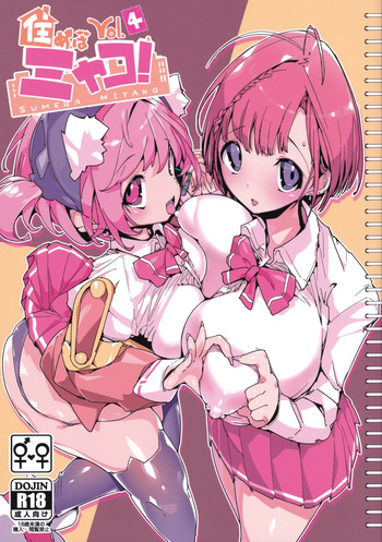 SUMEBA MIYAKO! Vol. 4 | If you Live in Miyako! 4 cover